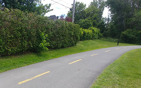 asphalte piste cyclable Mont-Royal