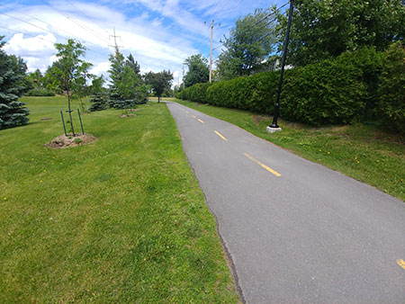 asphalte piste cyclable Montréal