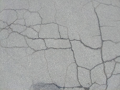 Fissure ASPHALTE Mont-Royal